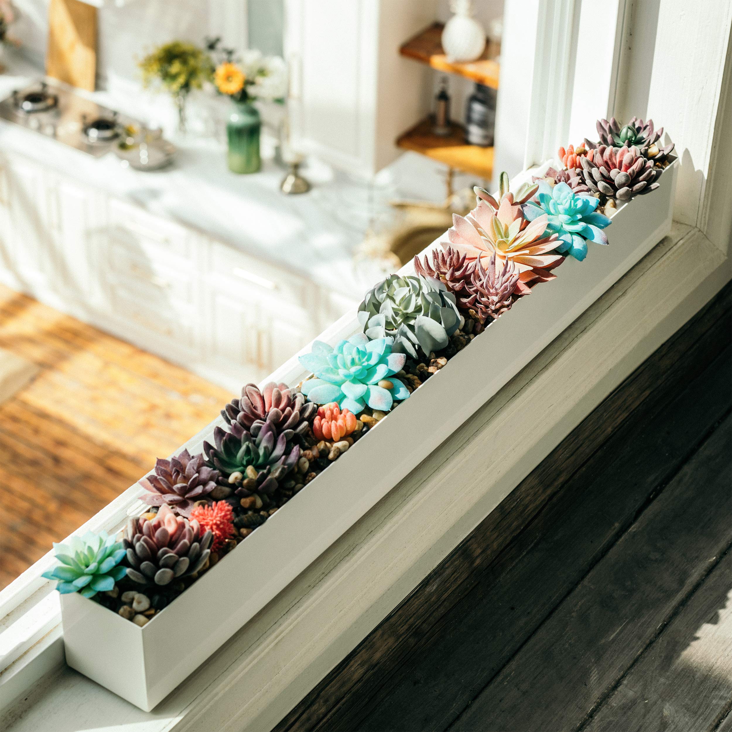 多肉　ソファープランター　NO,276 多肉 ソファープランター NO,276